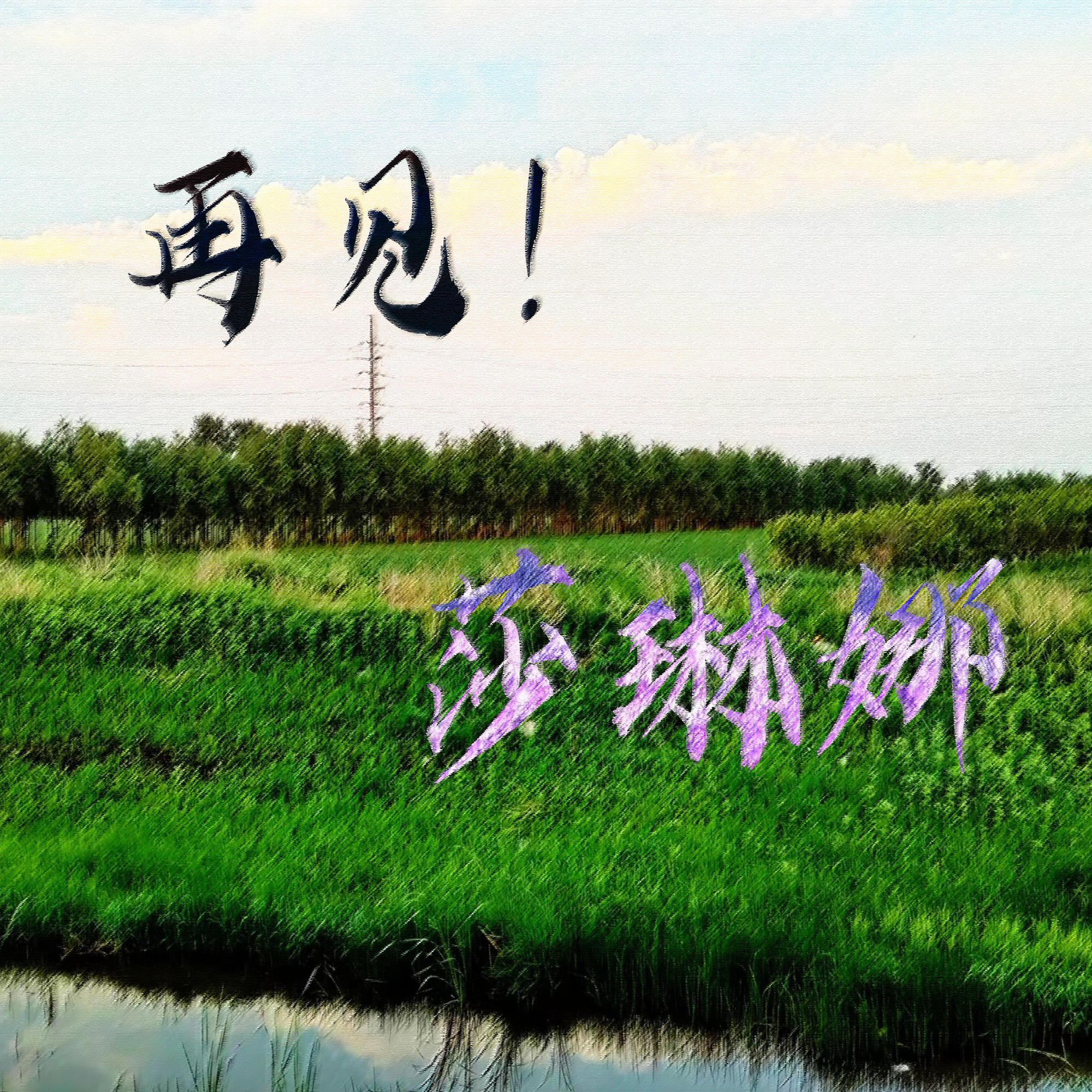 再见!莎琳娜封面