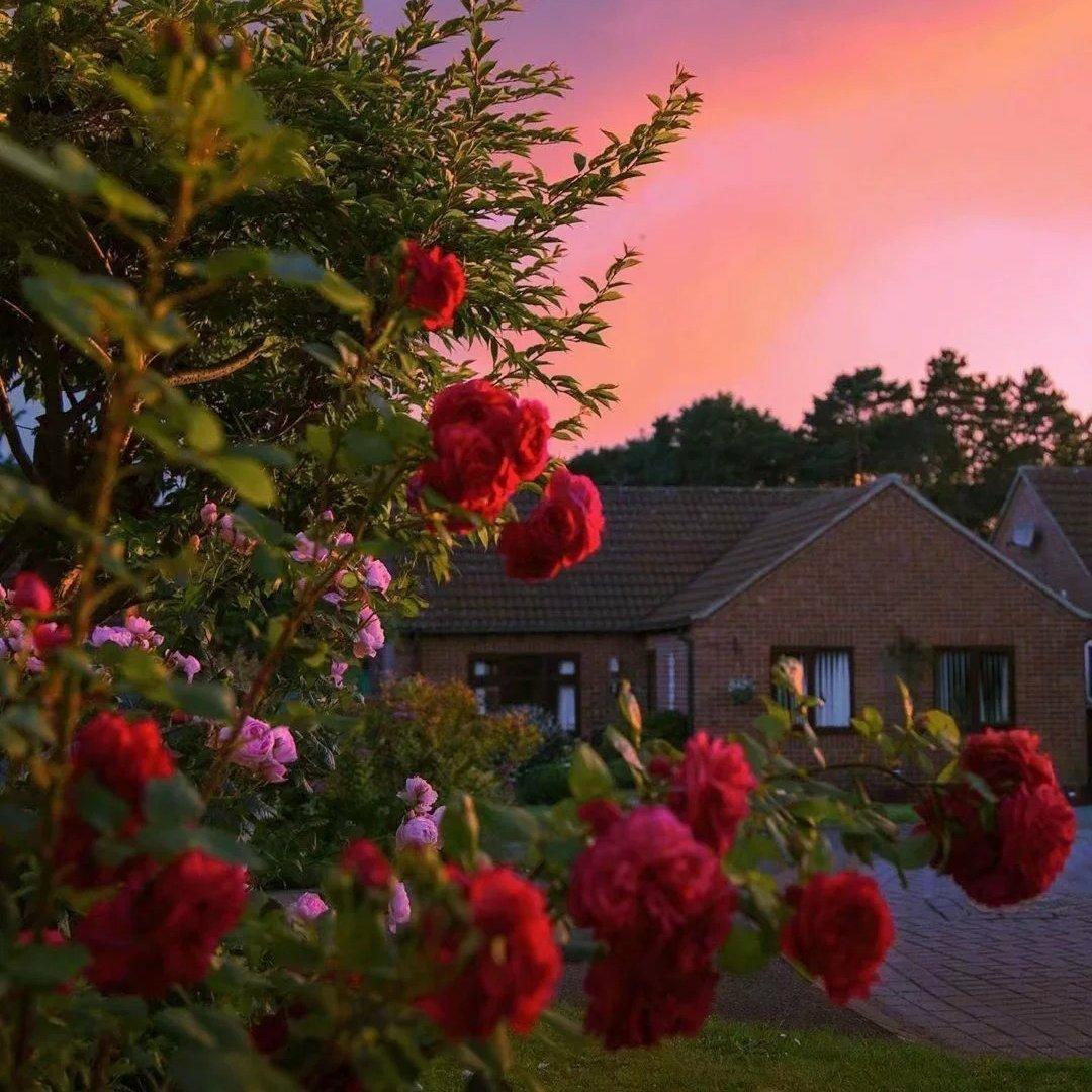 "初陽海浪，滿月鮮花"