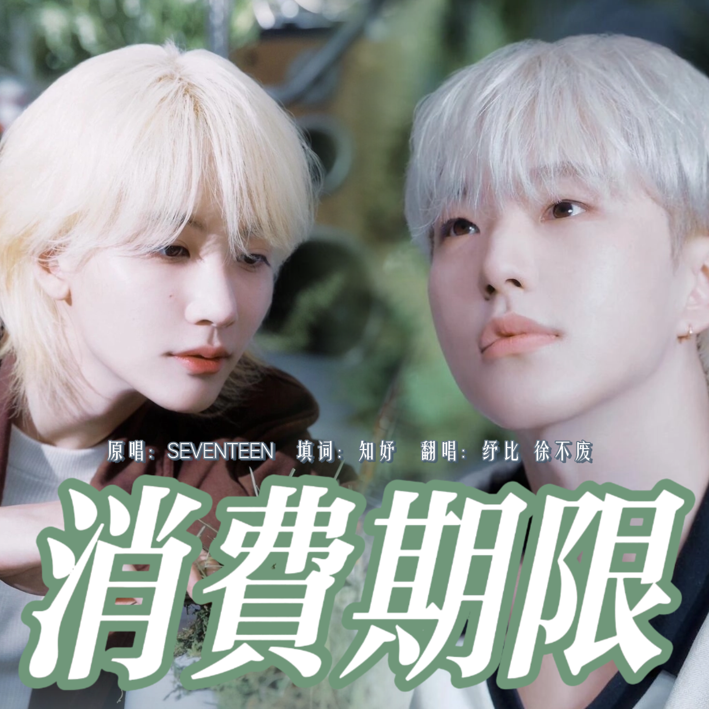 消费期限-中文版封面