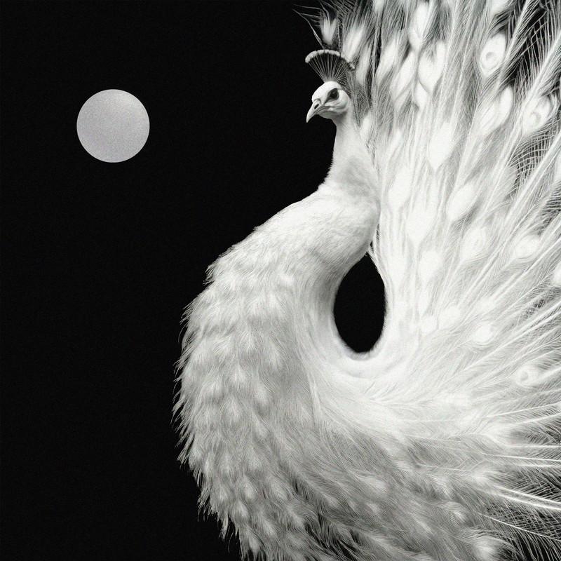 ZICO ·《Yin and Yang》
