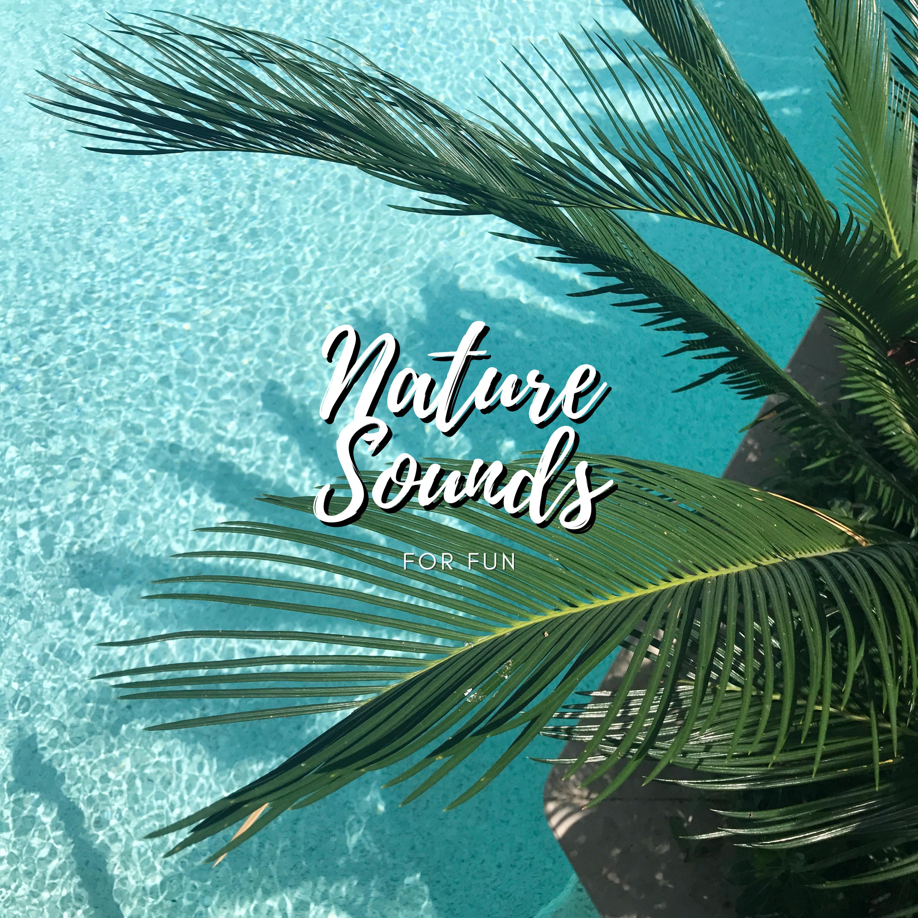 Natures_Cricket Sounds_Nature Sounds For Fun | 在线播放_Natures歌词_Natures下载 | 网易云音乐