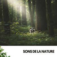 Sons de la Nature: Symphonie de la Nature