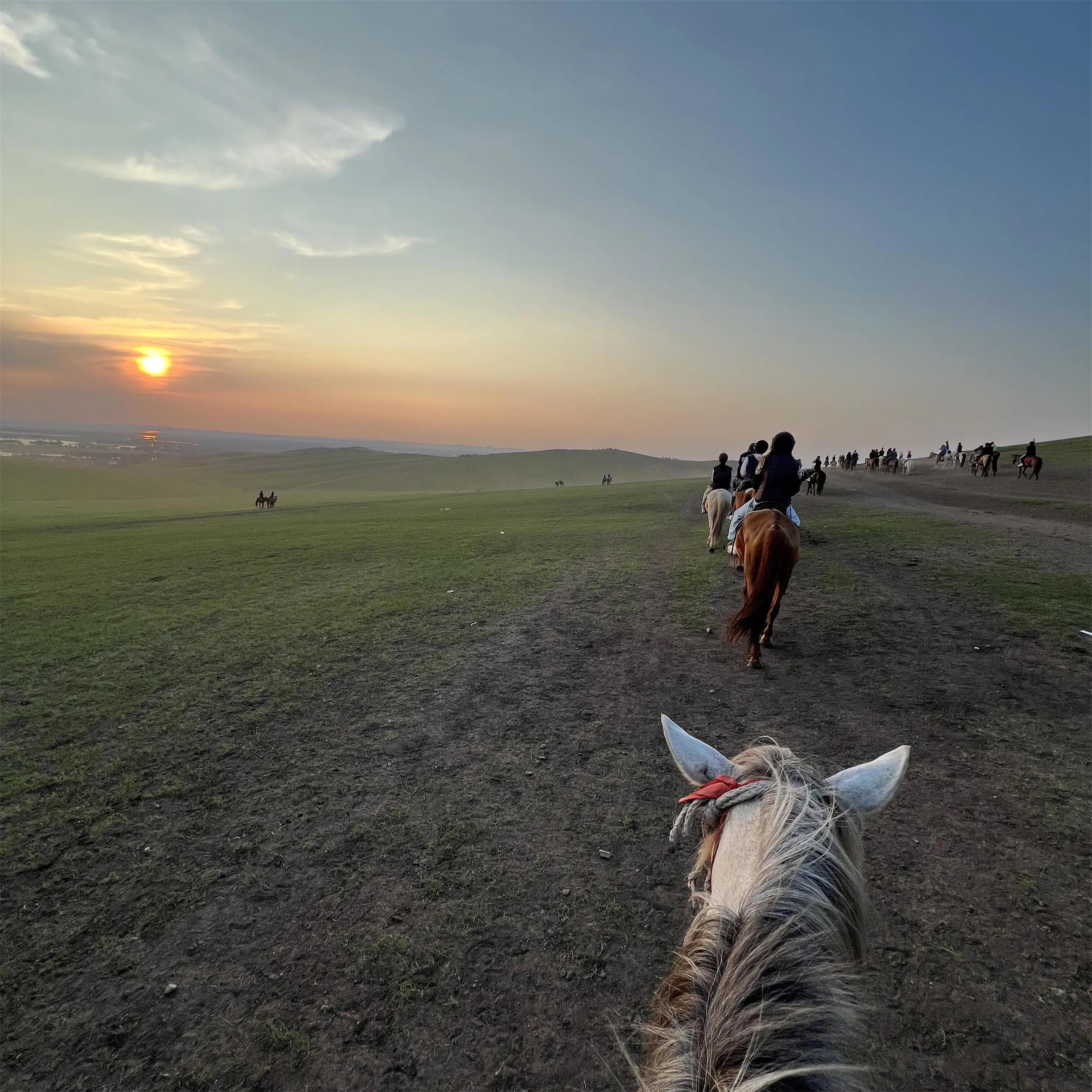 山花终将灿烂时