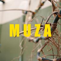 Muza