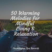 50 Warming Melodies for Mindful Living & Relaxation