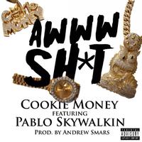 Awww Shit (feat. Pablo Skywalkin) - Single