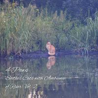 4 Paws: Soothes Cats with Ambience of River Vol. 2