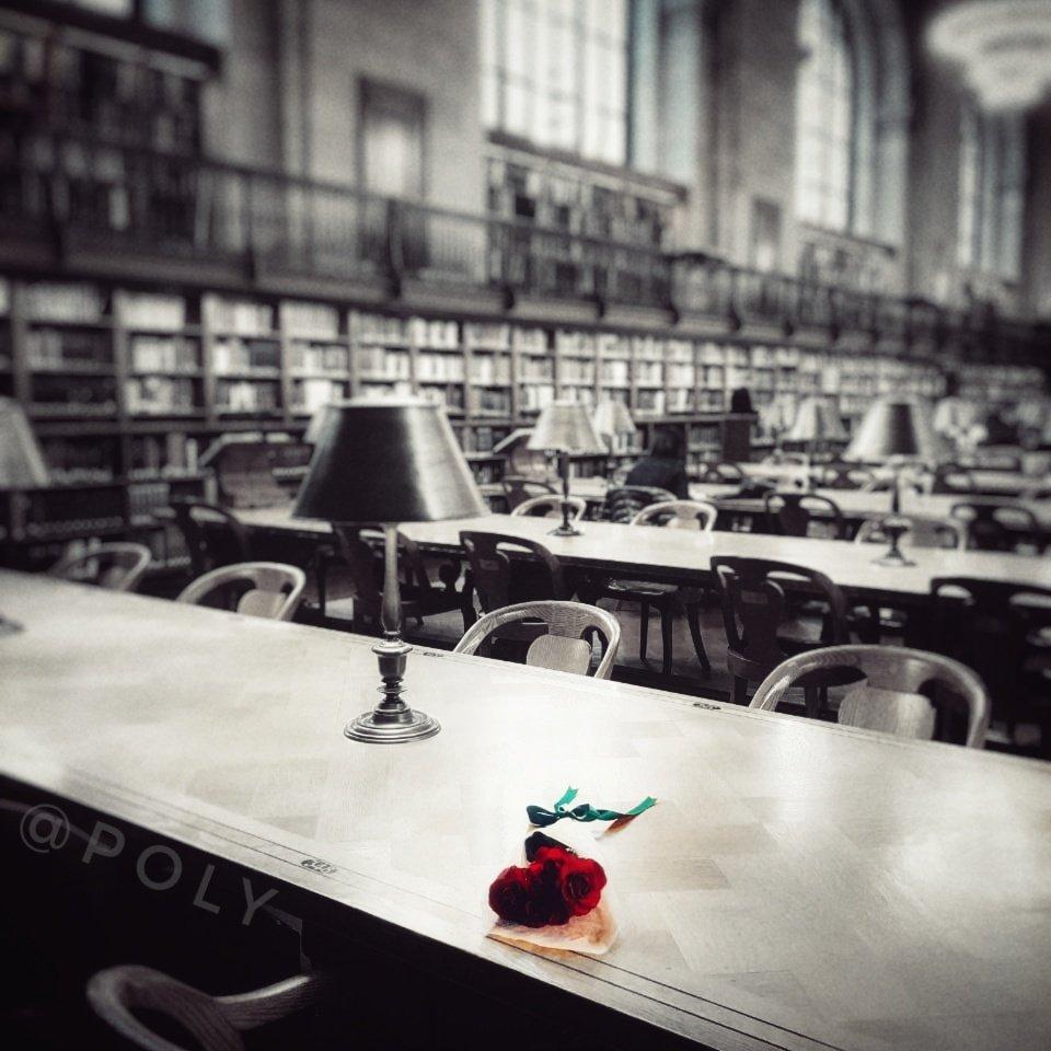 leopard in kilimanjaro