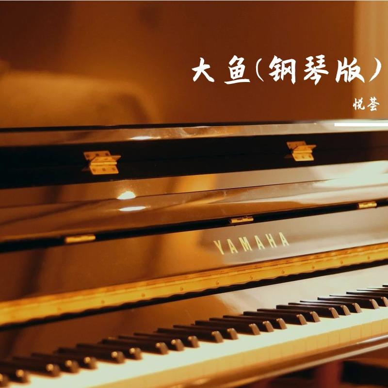 大鱼(钢琴版)封面