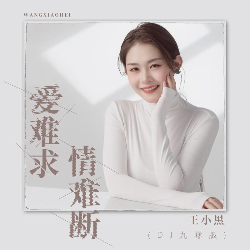 爱难求情难断 (DJ九零版伴奏)封面