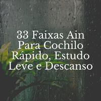 33 Faixas Ain Para Cochilo Rápido, Estudo Leve e Descanso