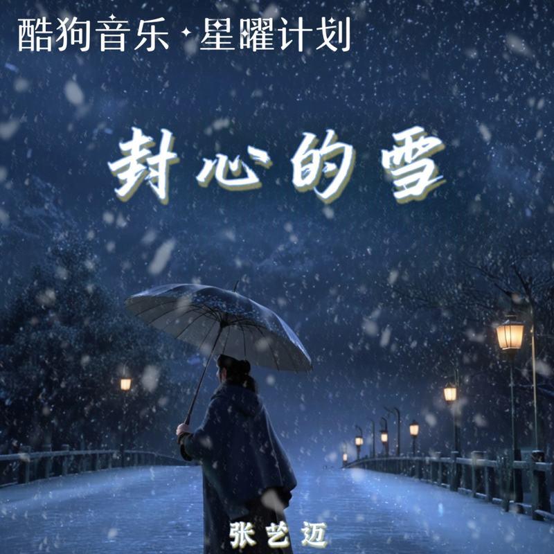 封心的雪 (DJ京仔版)封面