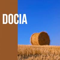 Docia