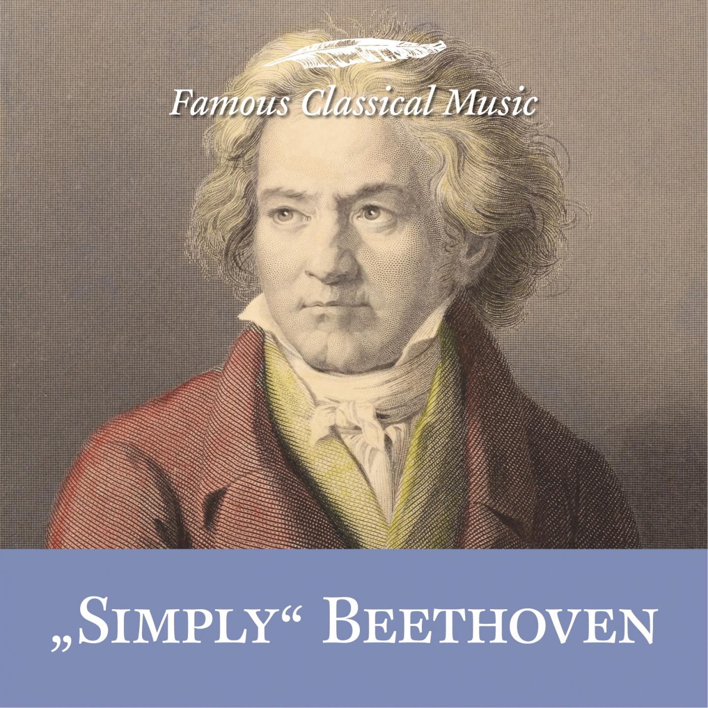 Symphony No. 9 Choral in D Minor, Op. 125: IV. Presto