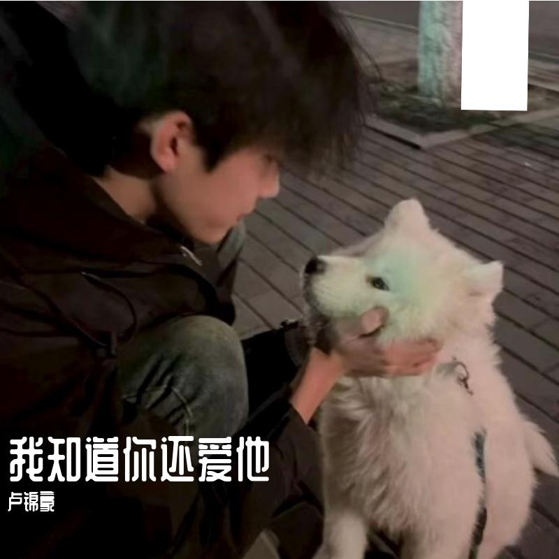 我知道 你还爱他 - 卢锦豪封面
