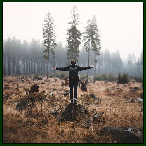 Summertime Sadness(Cedric Gervais Remix)