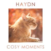 Haydn Cosy Moments