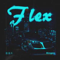 FLEX