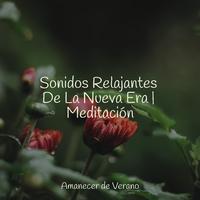 Sonidos Relajantes De La Nueva Era | Meditación