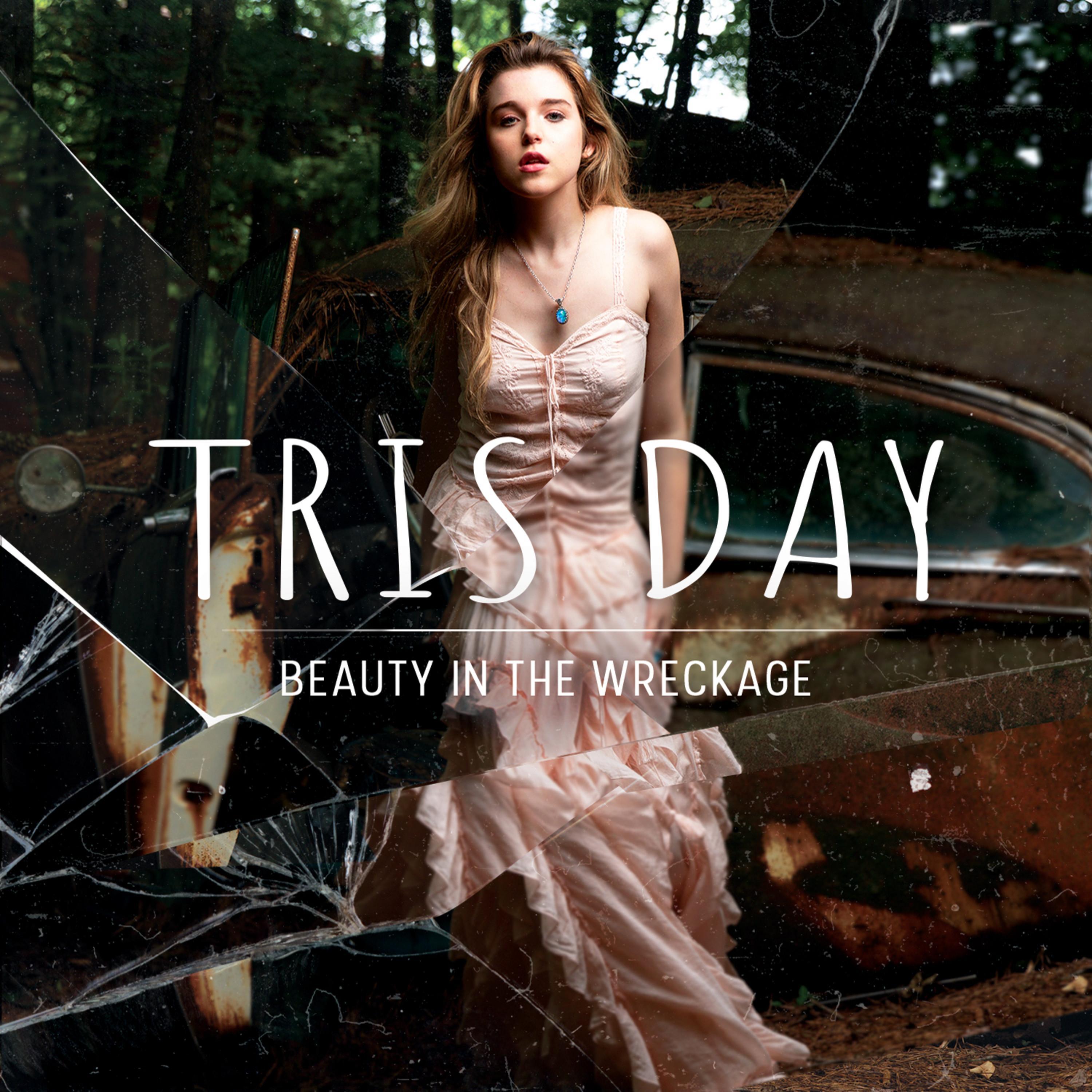 Beauty in the Wreckage