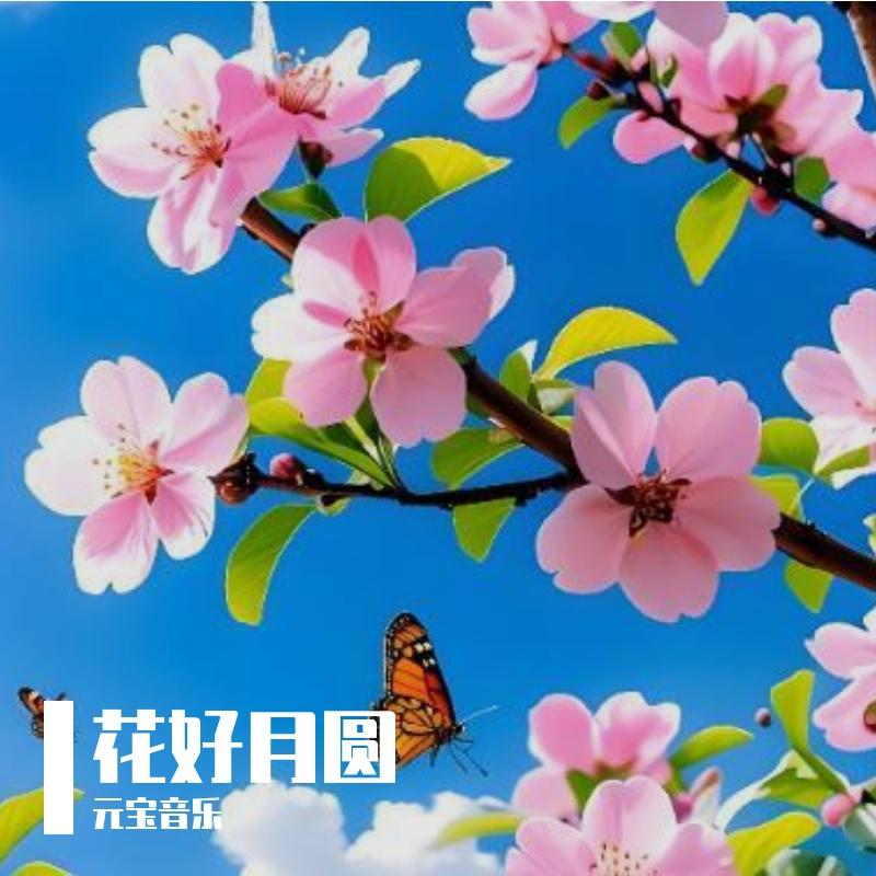 晚风告白 - 元宝音乐封面