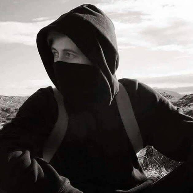 【Alan Walker】精选集