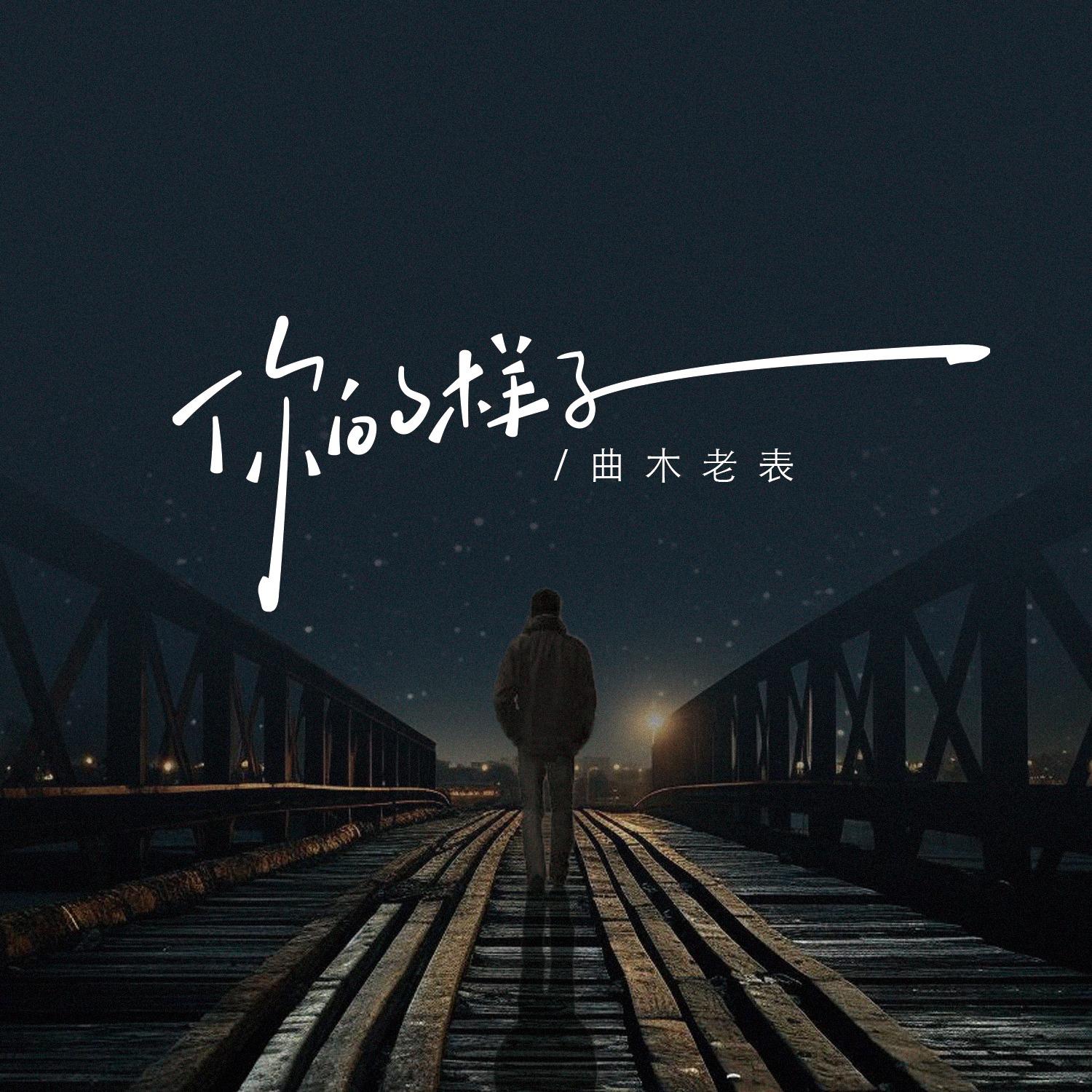 你的样子封面