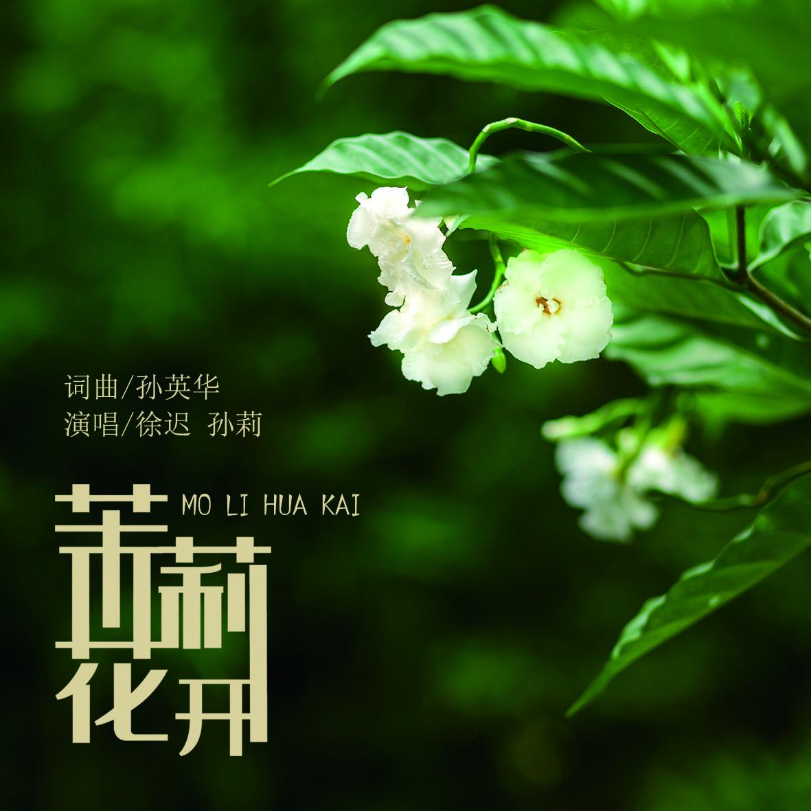 茉莉花开 (伴奏)封面