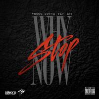 Why Stop Now (feat. Fat Joe)