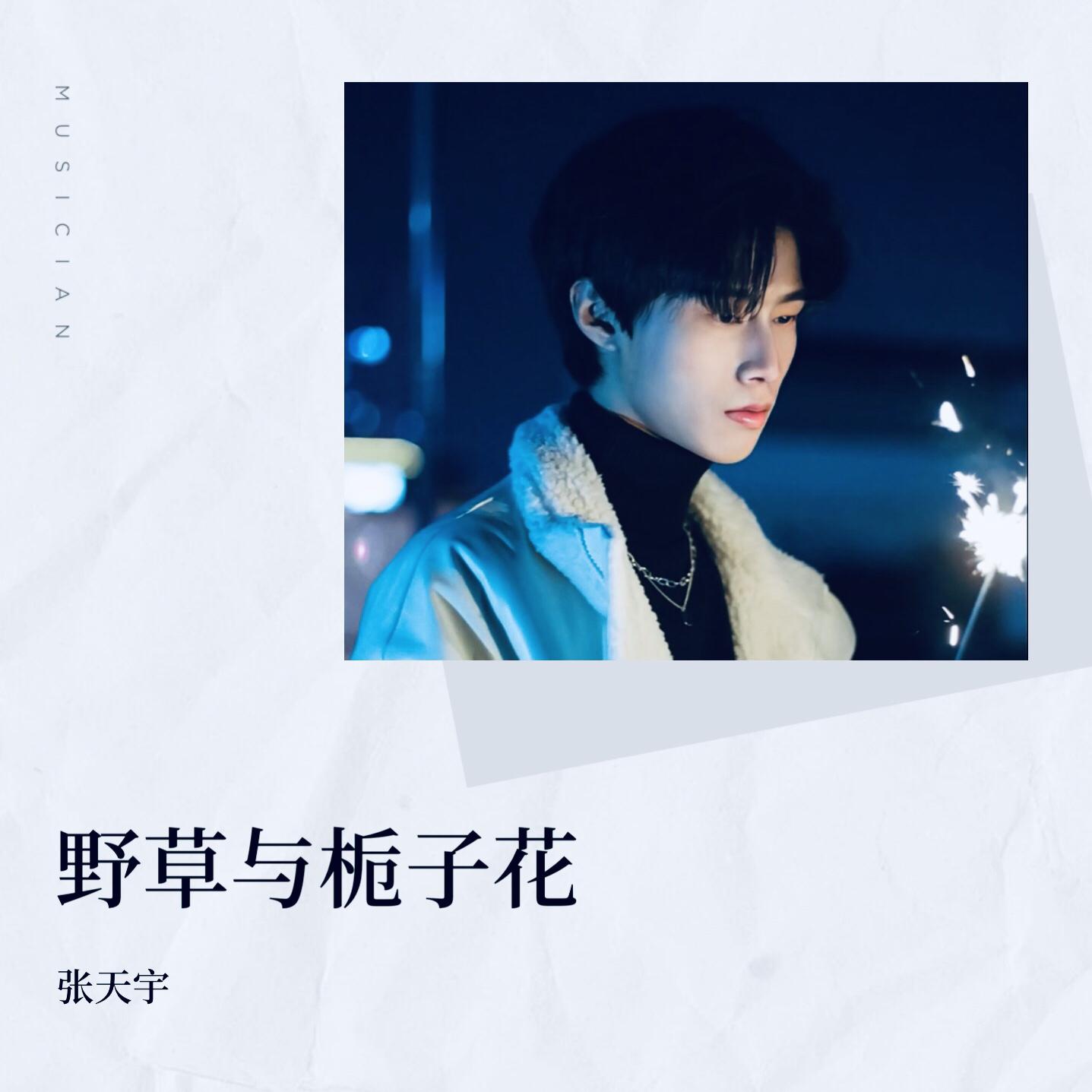 声声慢（吴语版）封面