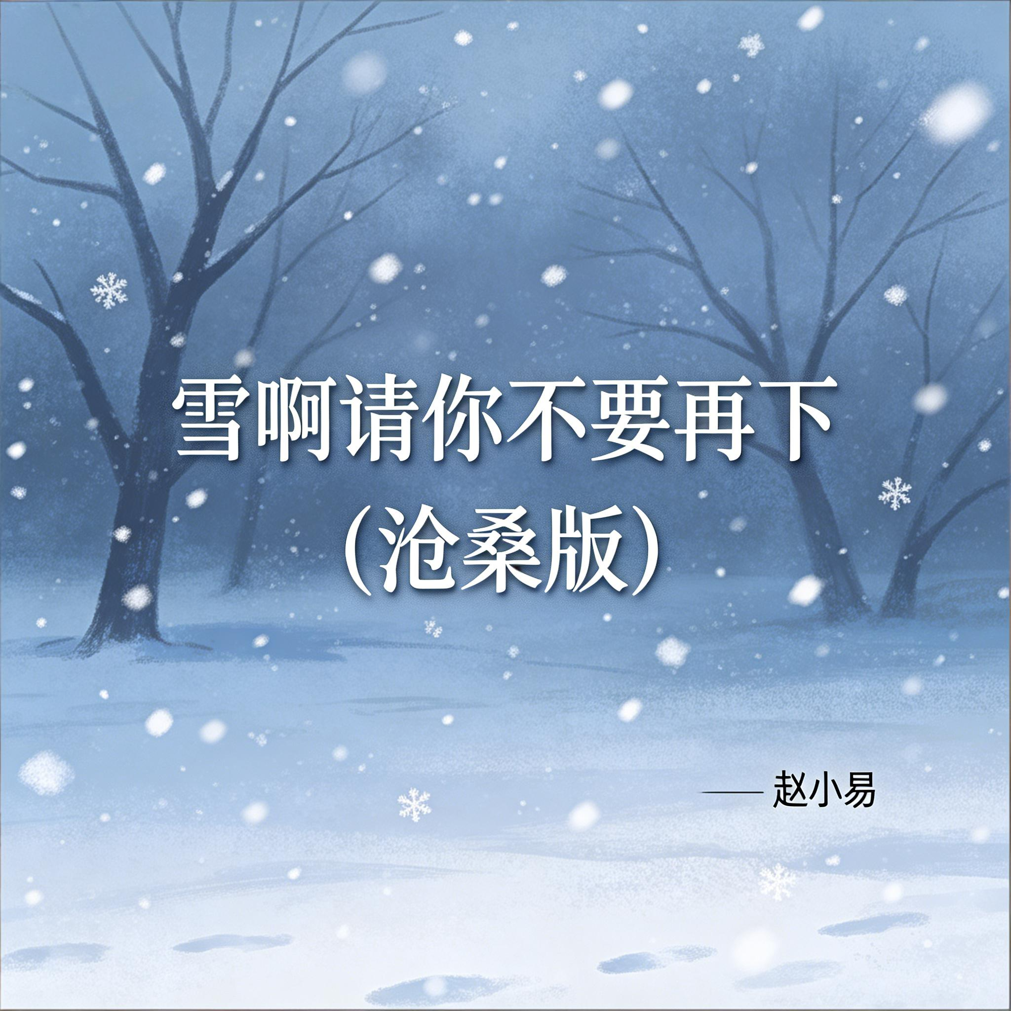 雪啊请你不要再下(沧桑版)封面
