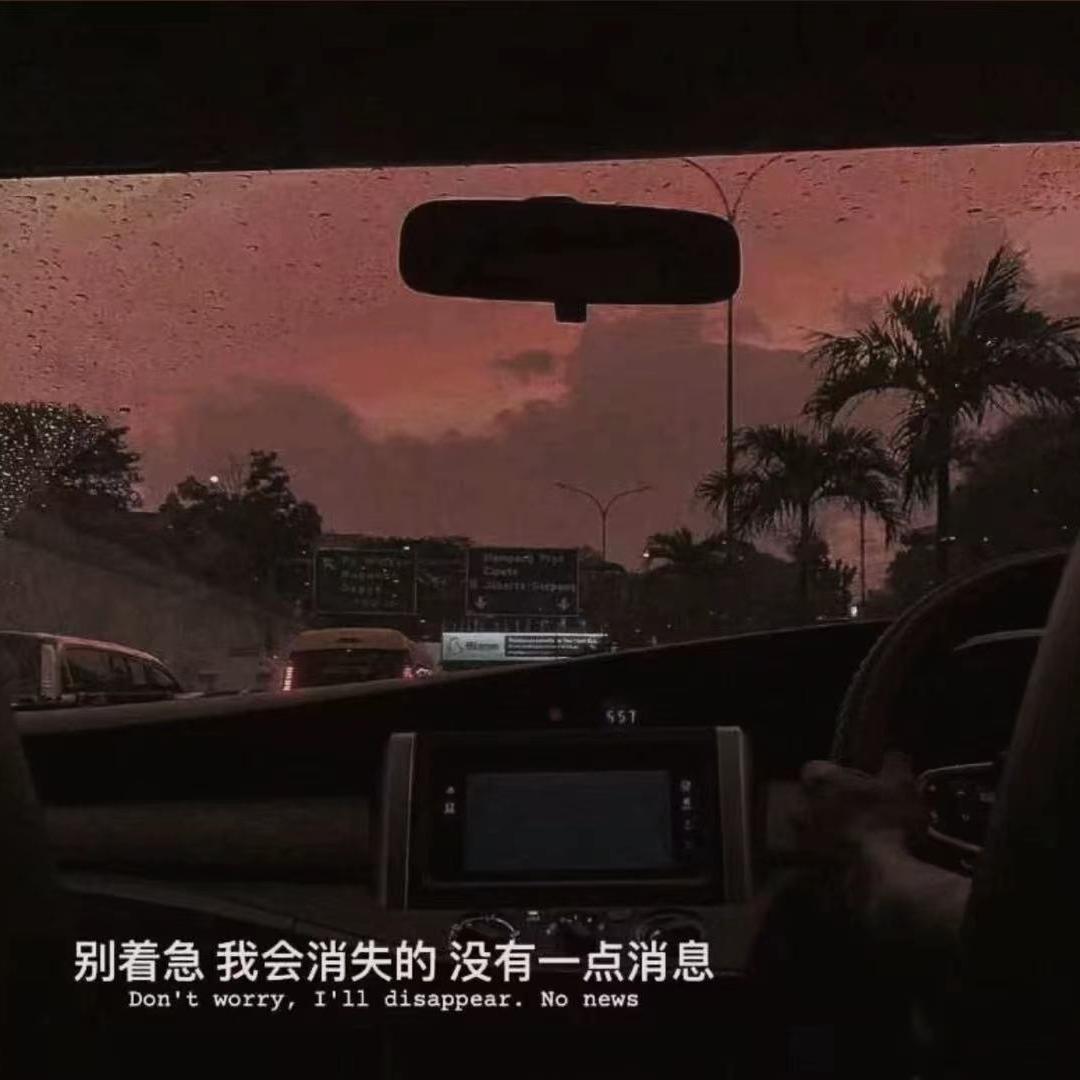 当我要走的时候封面