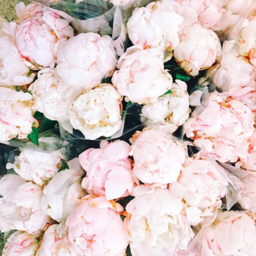 Romantic—日出到日落我和你