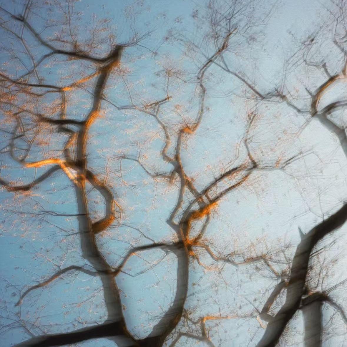 Want You All The Time（ Slowed ）