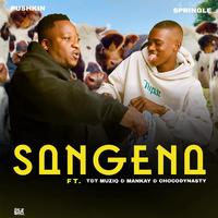 Sangena (feat. Mankay & Choco Dynasty, T&T Muziq)