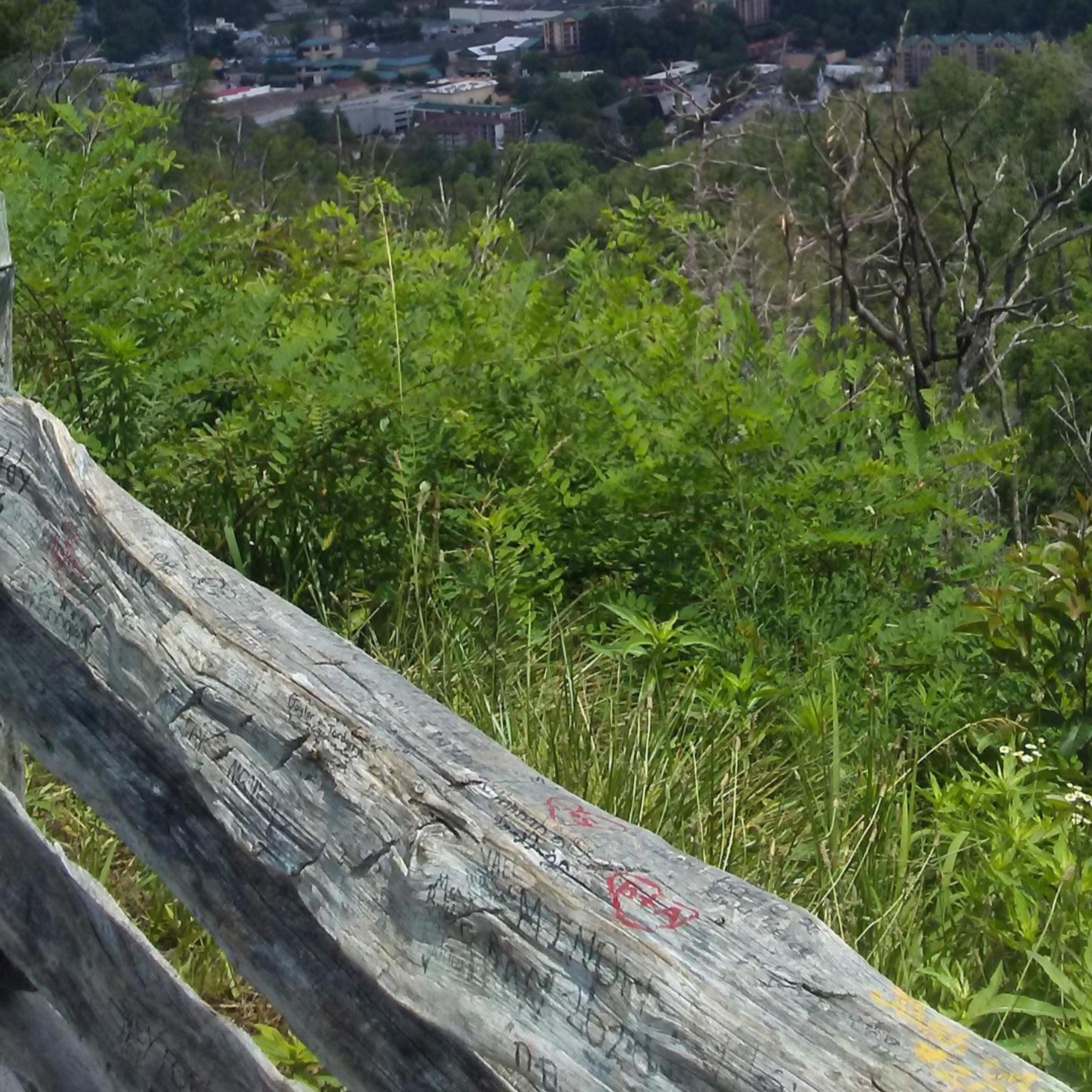 Your Spirit Guides Me