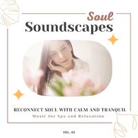 Soul Soundscapes, V05 - Reconnect Soul With Calm And Tranquil Music For Spa And Relaxation