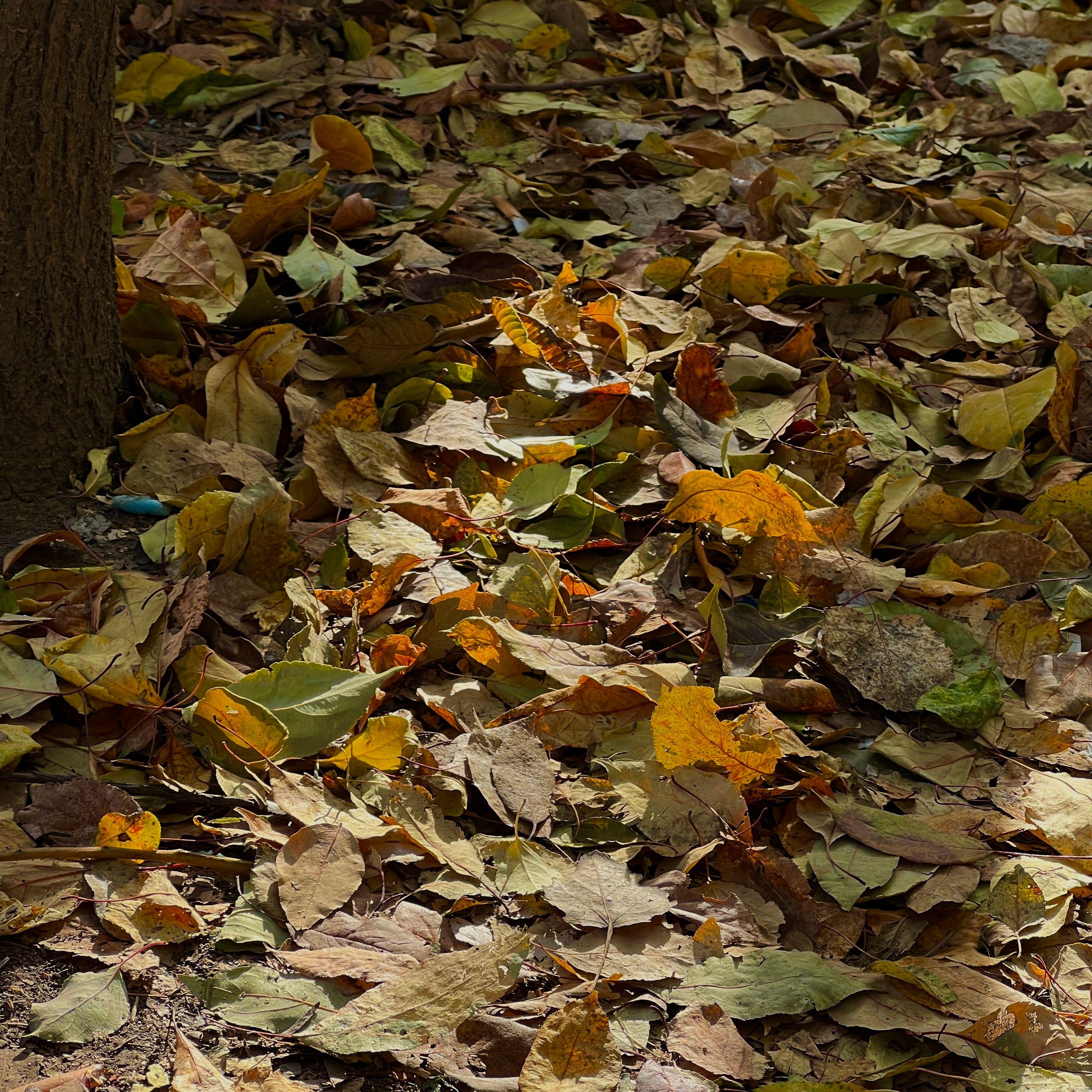 So Far Away(Vision of Le)