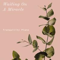 Waiting on A Miracle