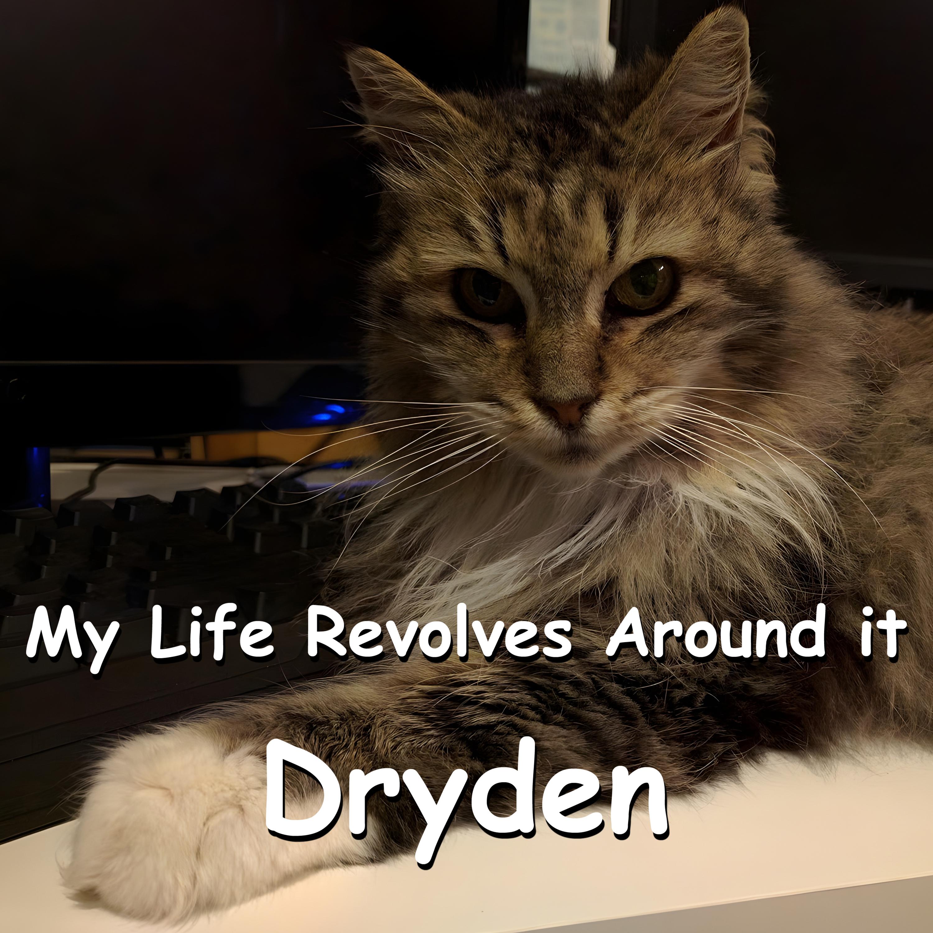 My Life Revolves Around It