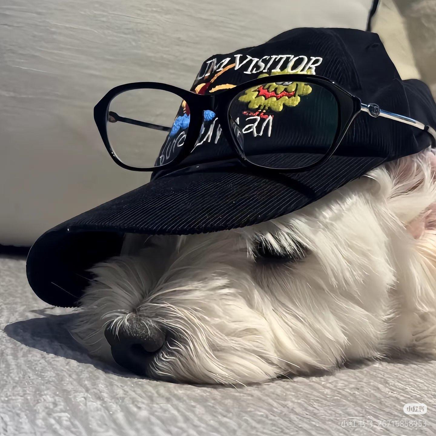 只待风云再起时