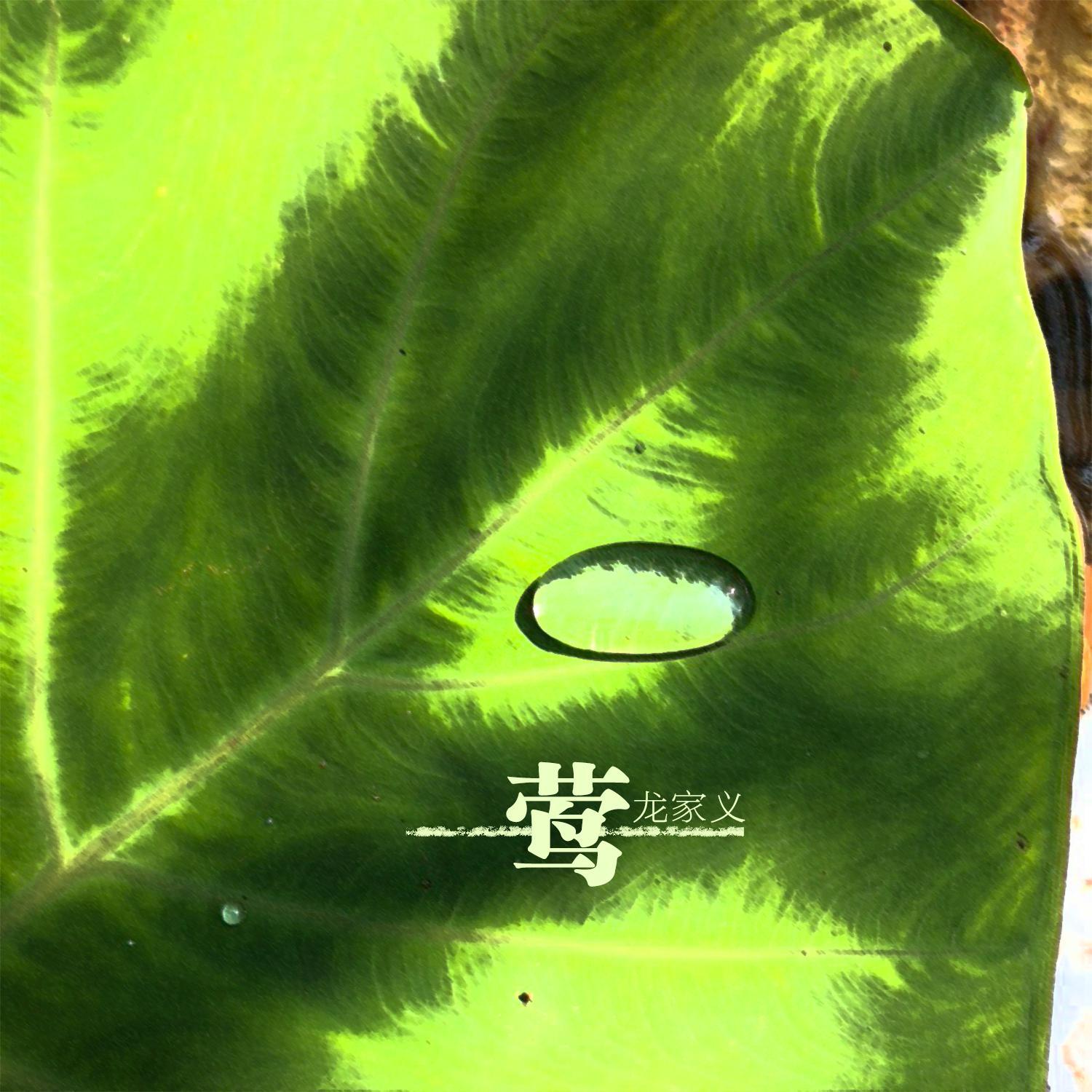 莺封面