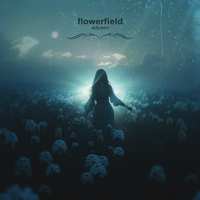 flowerfield