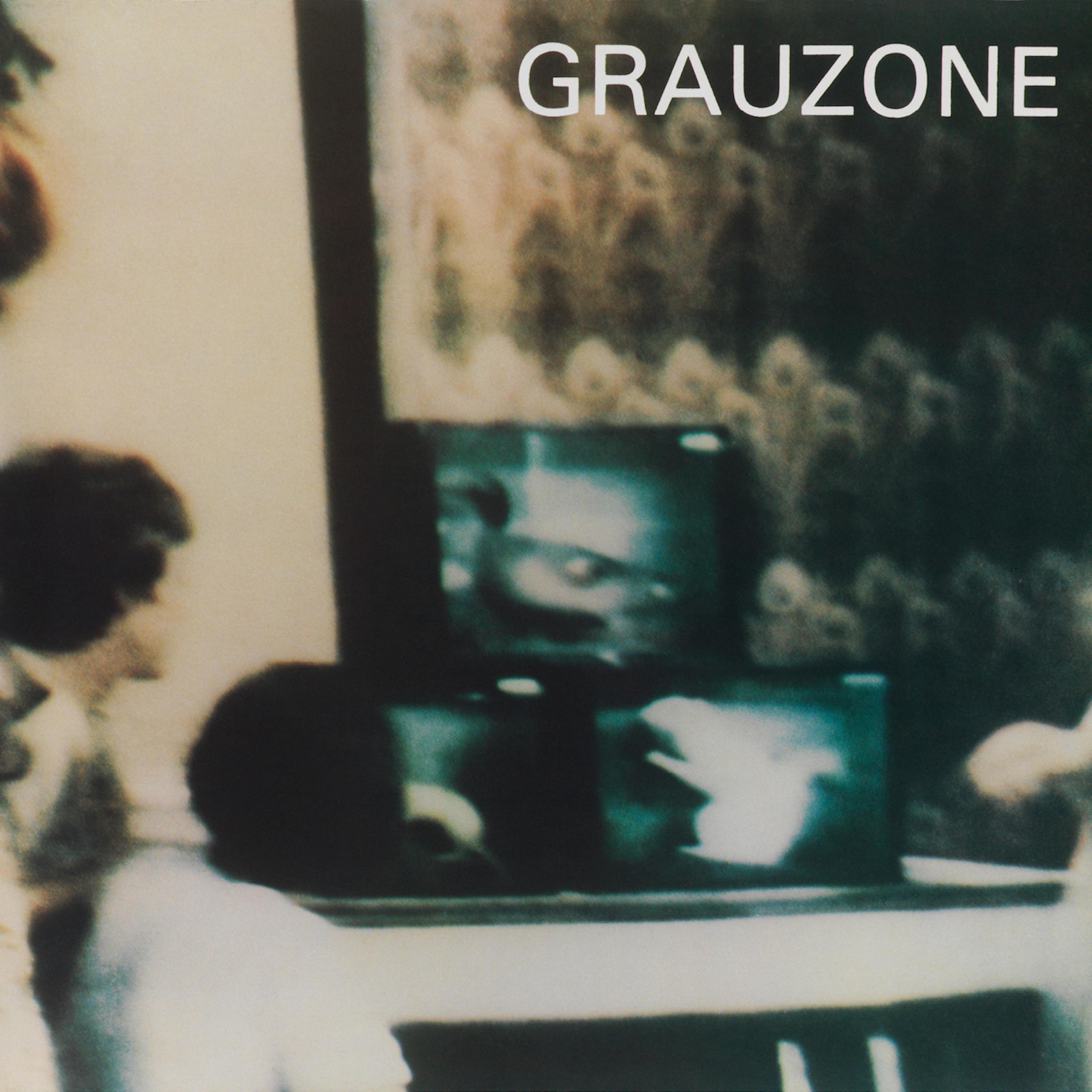 Film 1 - Grauzone封面