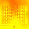 Ruff Loaderz - Sunshine (feat. Salena Mastroianni)