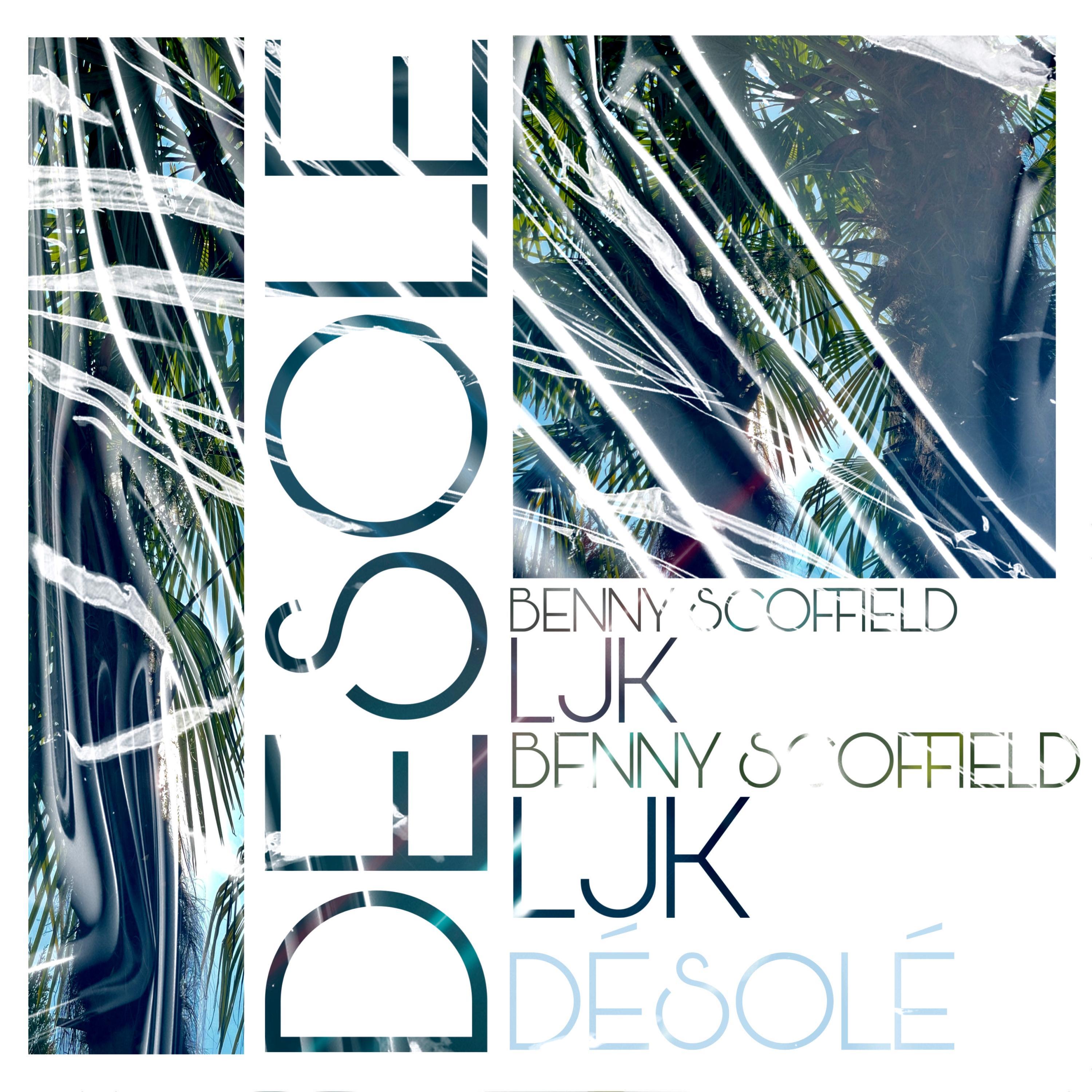 Désolé (feat. LJK)