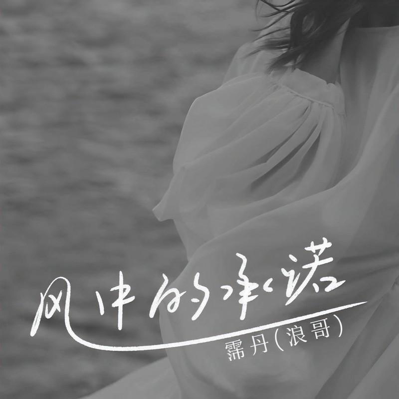 风中的承诺 (伴奏)封面