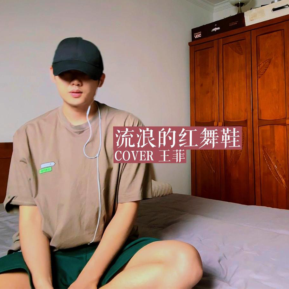 流浪的红舞鞋封面