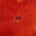 Sorry专辑