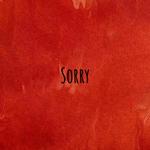 Sorry专辑